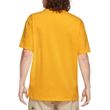 Camiseta Masculina Nike SB Logo Amarelo-CV7539-740- -2-